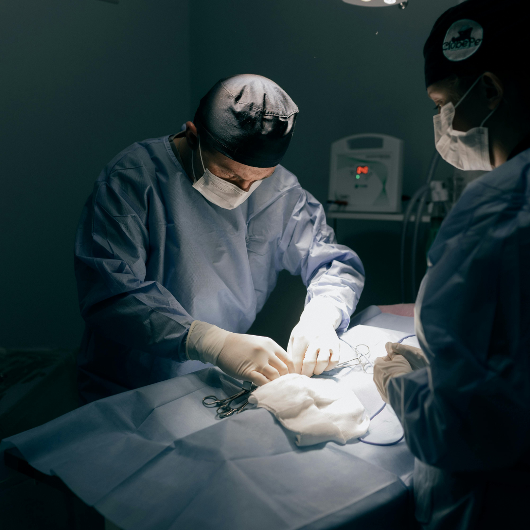 department of neuro surgery